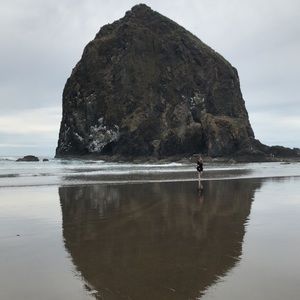 Meet your Posher, Ellen